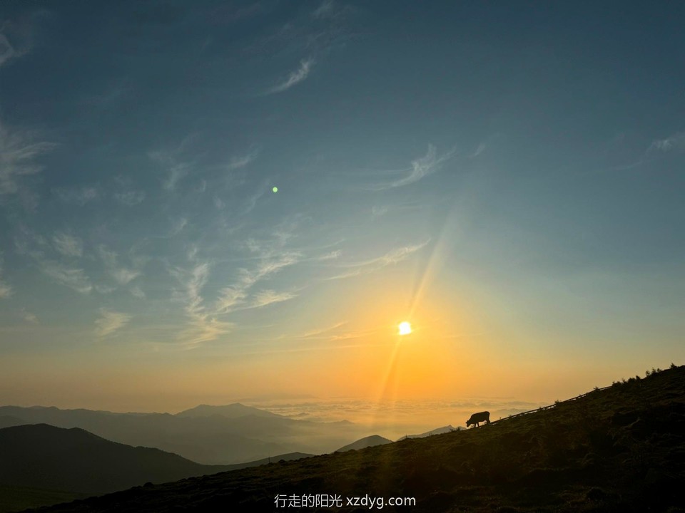 mmexport1722174093772