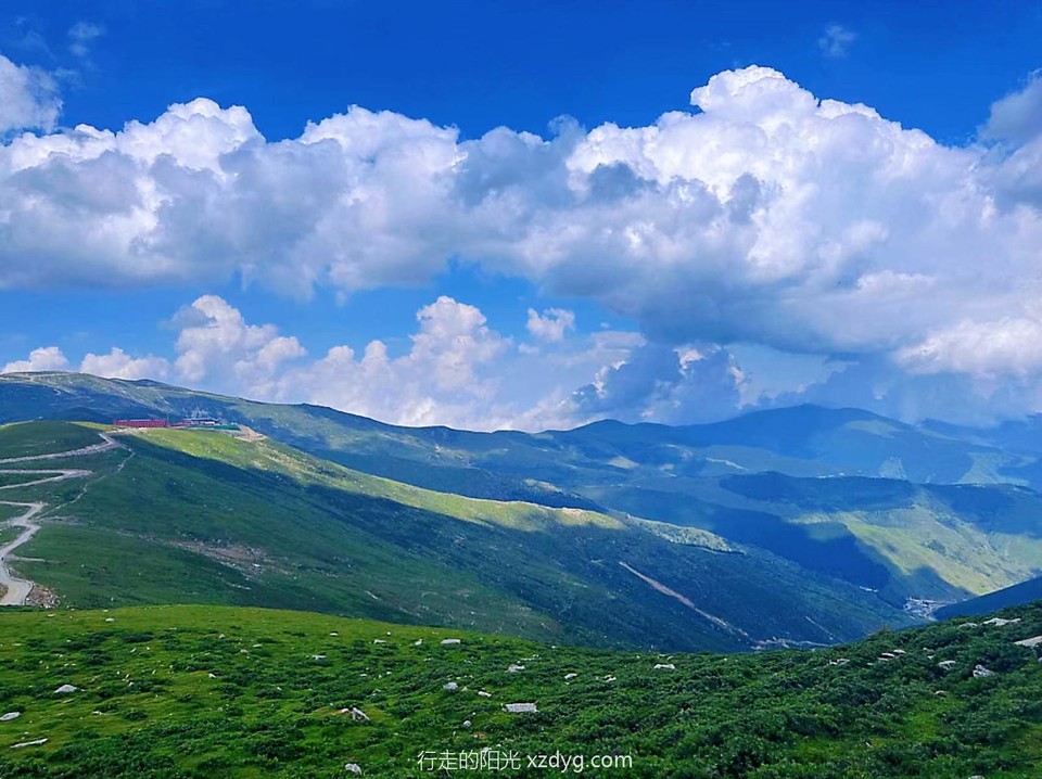 MEITU_20240728_164247422