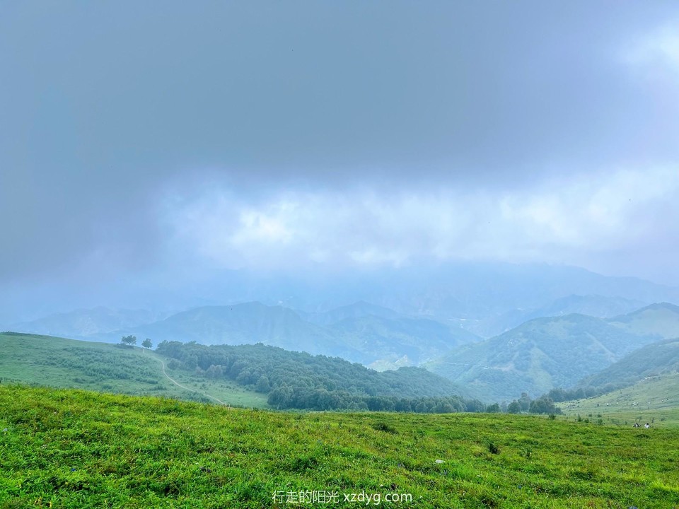 MEITU_20240820_135438009