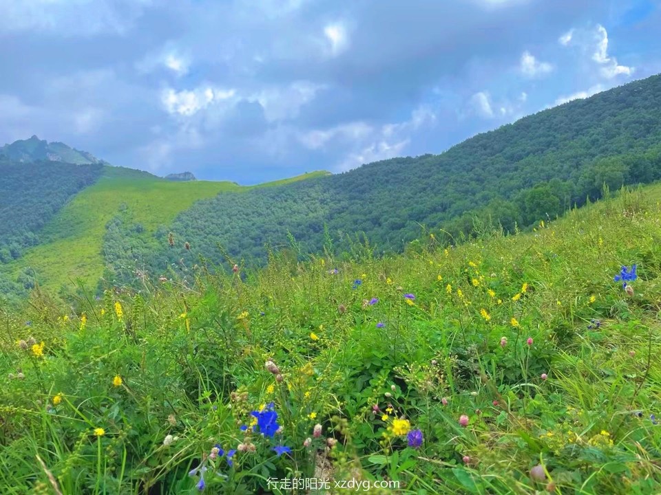 MEITU_20240820_134819383