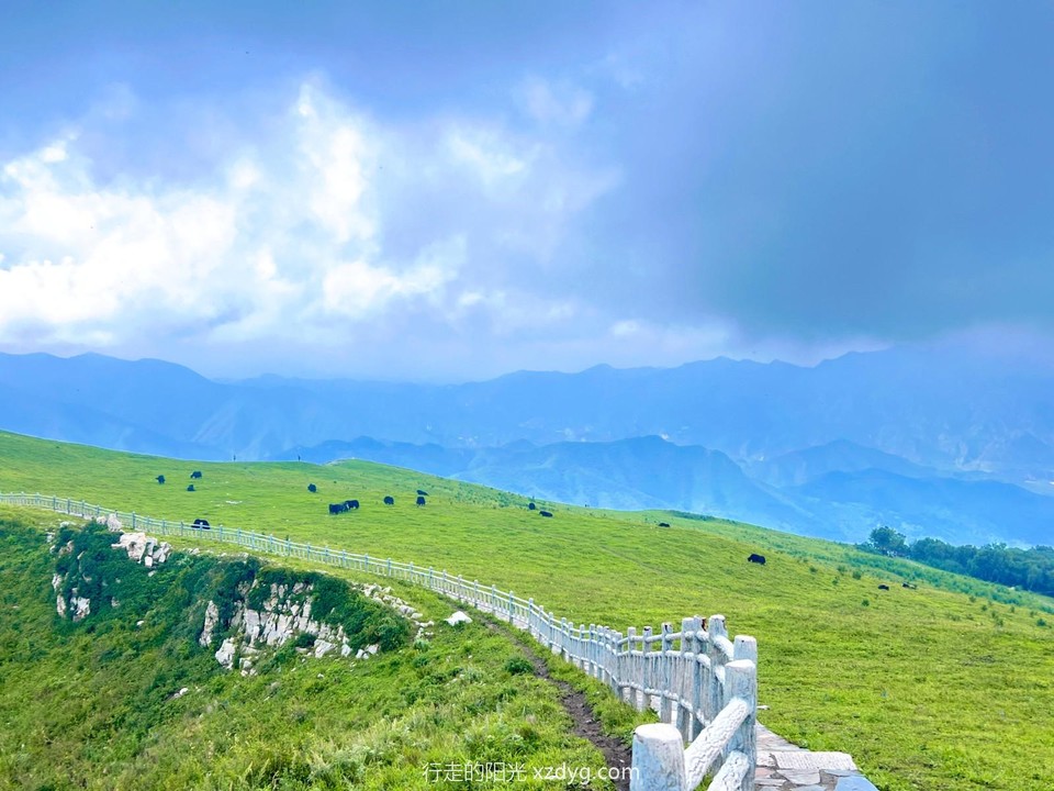 MEITU_20240820_135501258