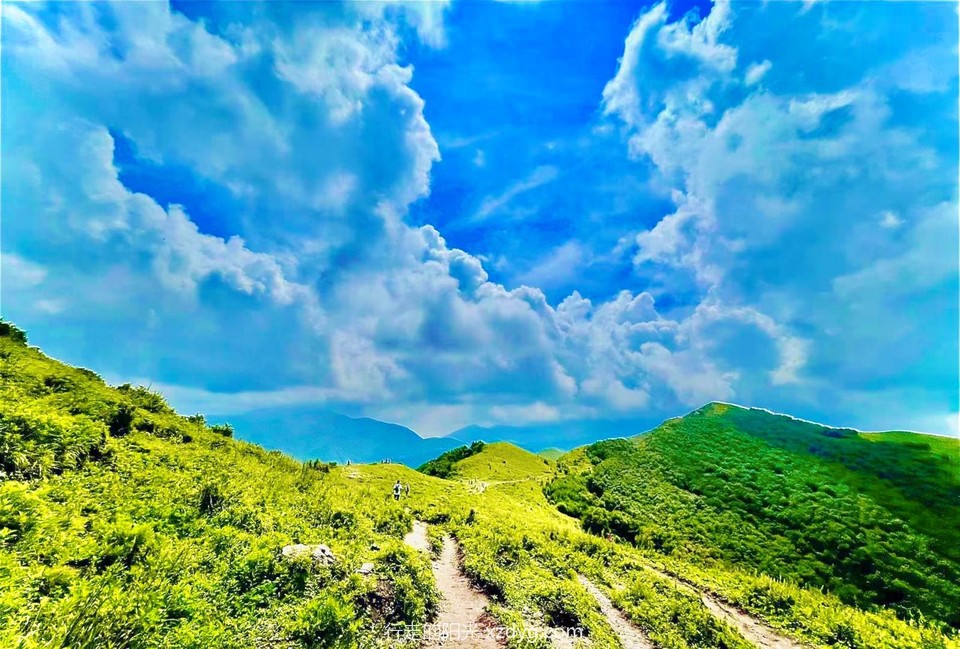 MEITU_20240820_135523090