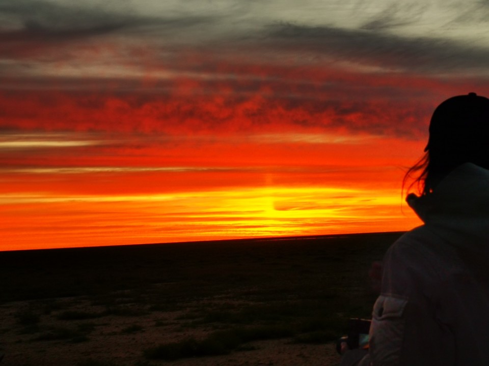 mmexport1724599951075