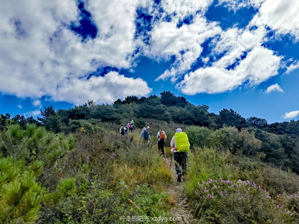 mmexport1726972788859_edit_185442390489930