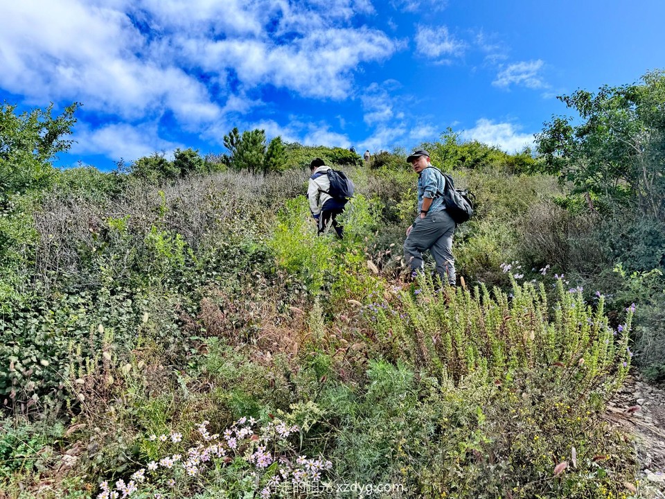 mmexport1726972719254_edit_185451941857116