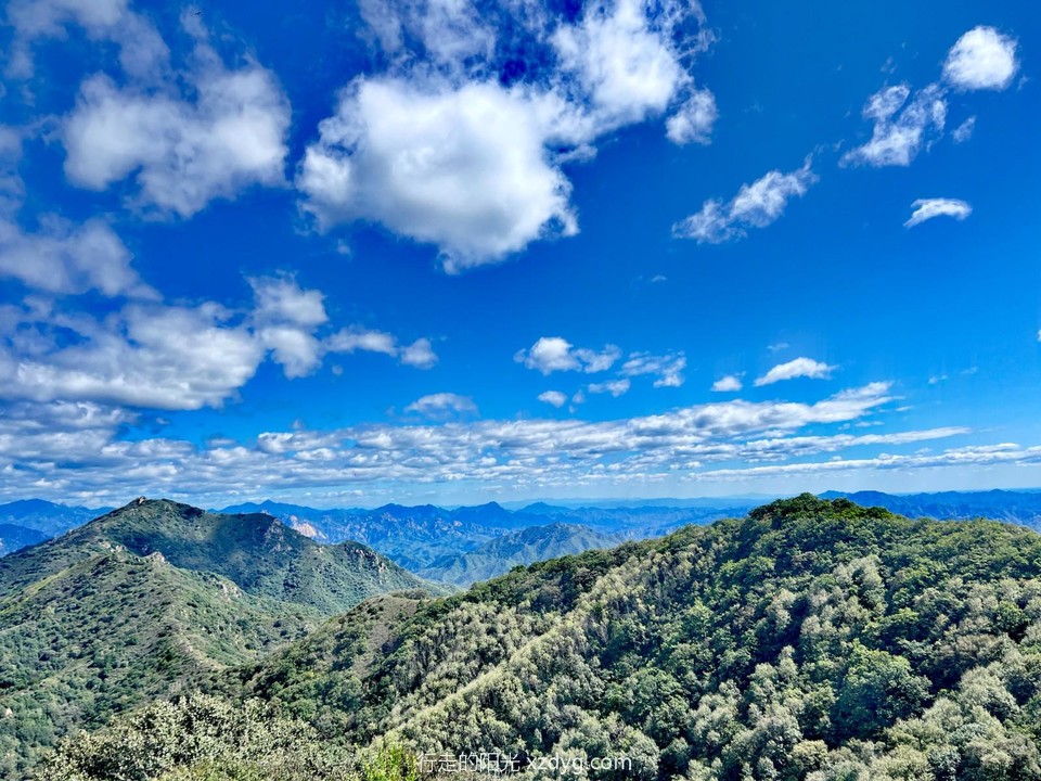 mmexport1726972837604_edit_185432875551910