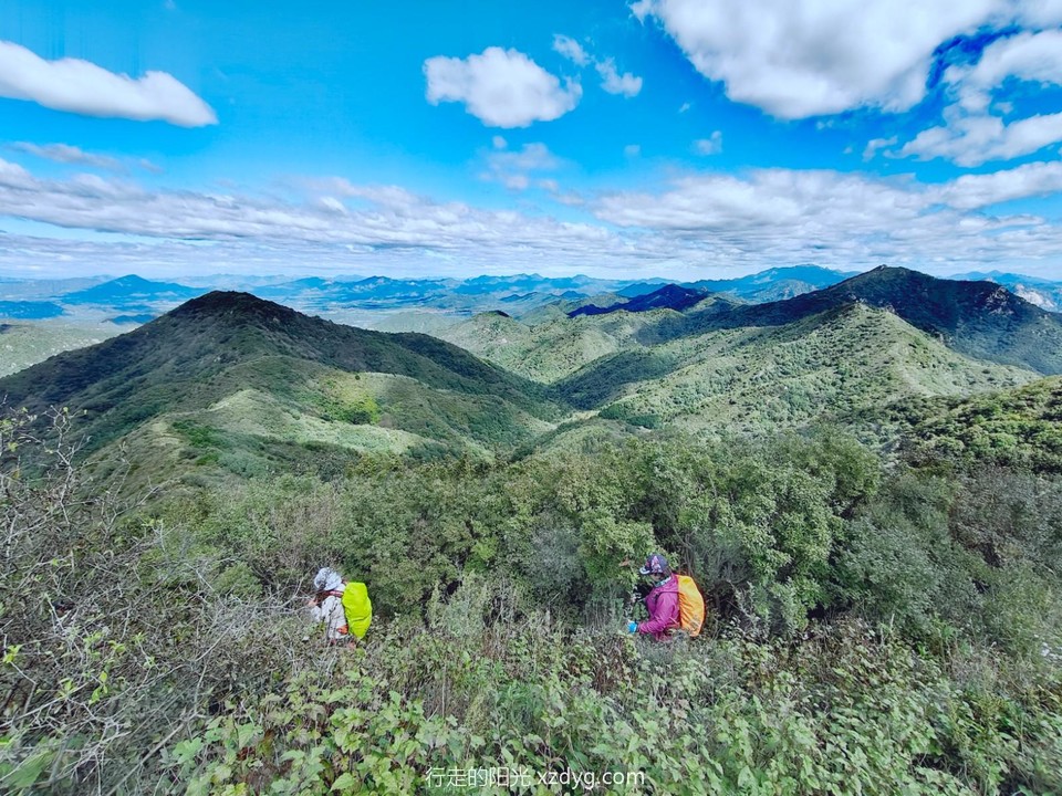 mmexport1726972397419_edit_185535766293561