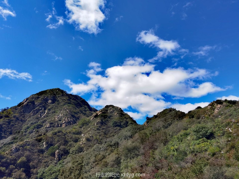 IMG_20240921_114355_edit_185731034975823