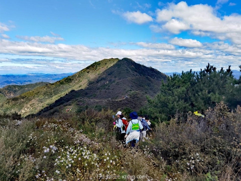 IMG_20240921_120910_edit_185718789719575