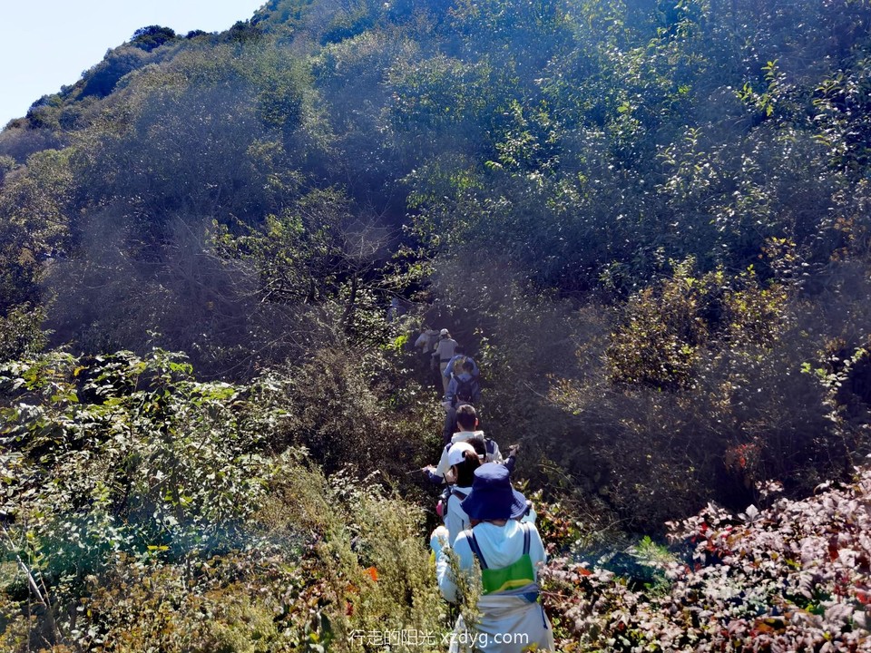 IMG_20240921_112559_edit_185743445913842