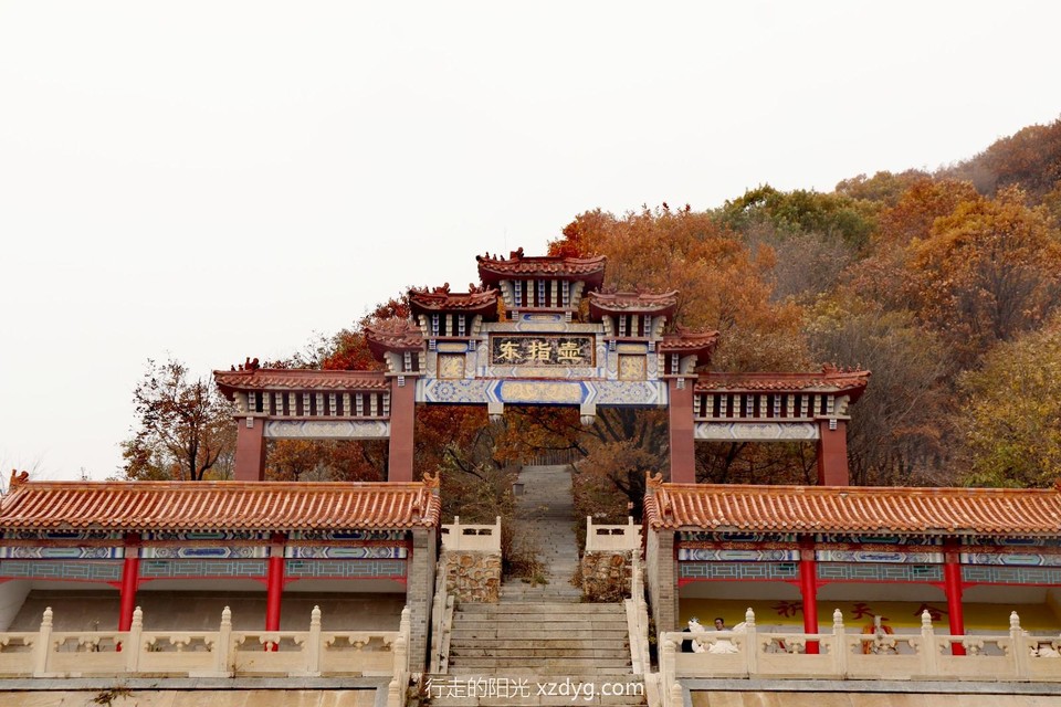 mmexport1728867309389_edit_24264399614004