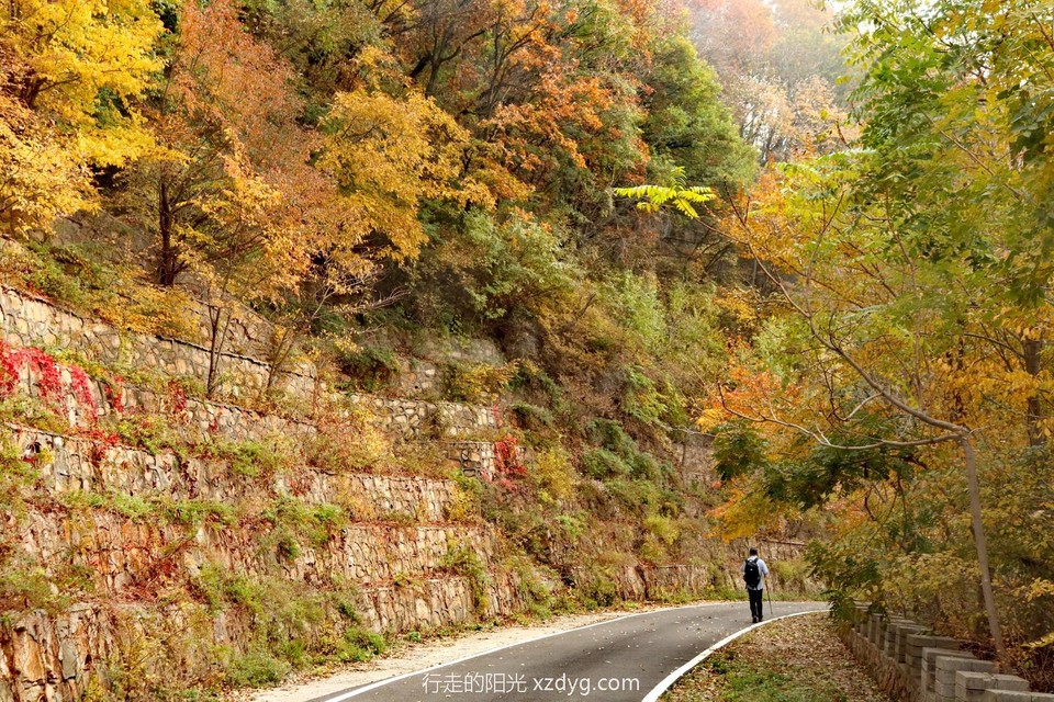 mmexport1728867297189_edit_24272105547336