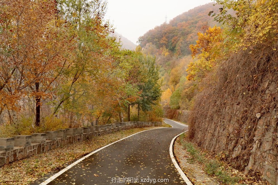 mmexport1728867281573_edit_24283983381189