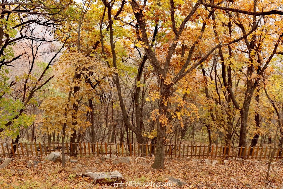 mmexport1728867329511_edit_24255100999422