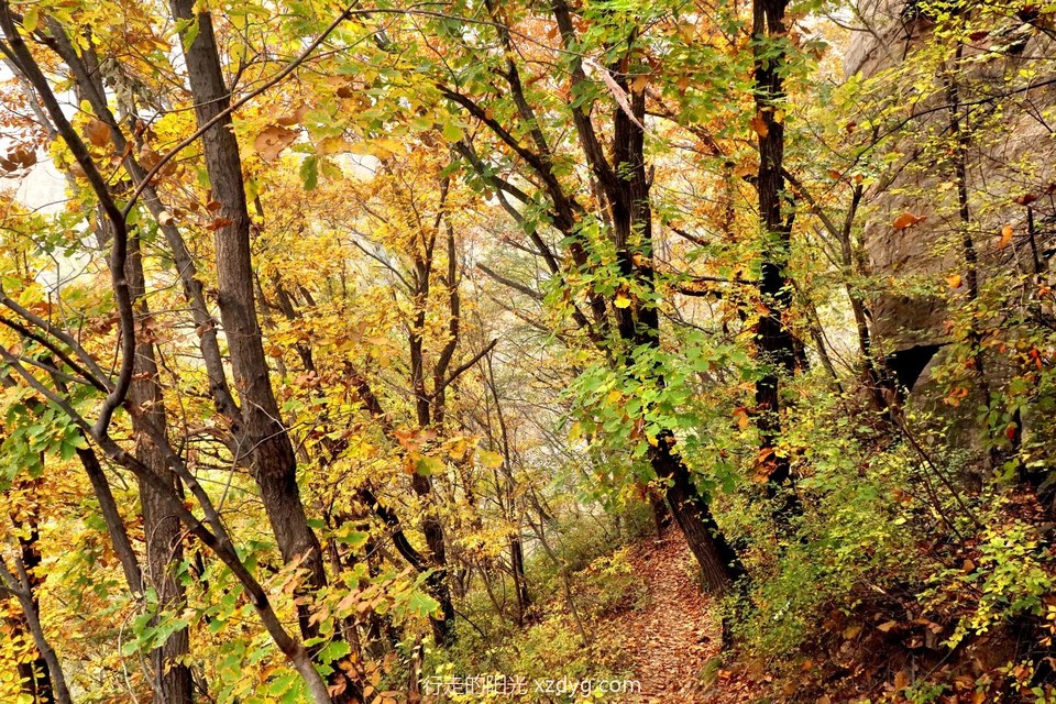 mmexport1728867391931_edit_24247373422340