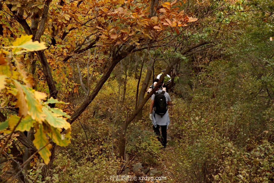 mmexport1728867419342_edit_24238654565570