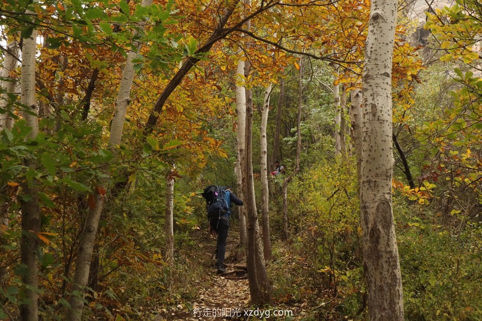 mmexport1728867452379