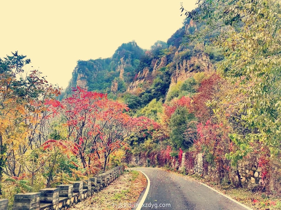 mmexport1728812189548_edit_494281754299577