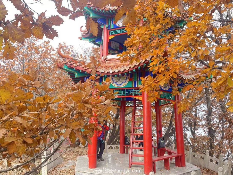 mmexport1728812164349