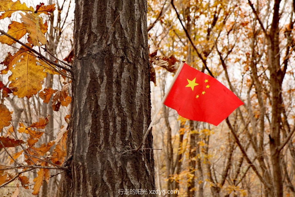 mmexport1728808298317_edit_491520046542186