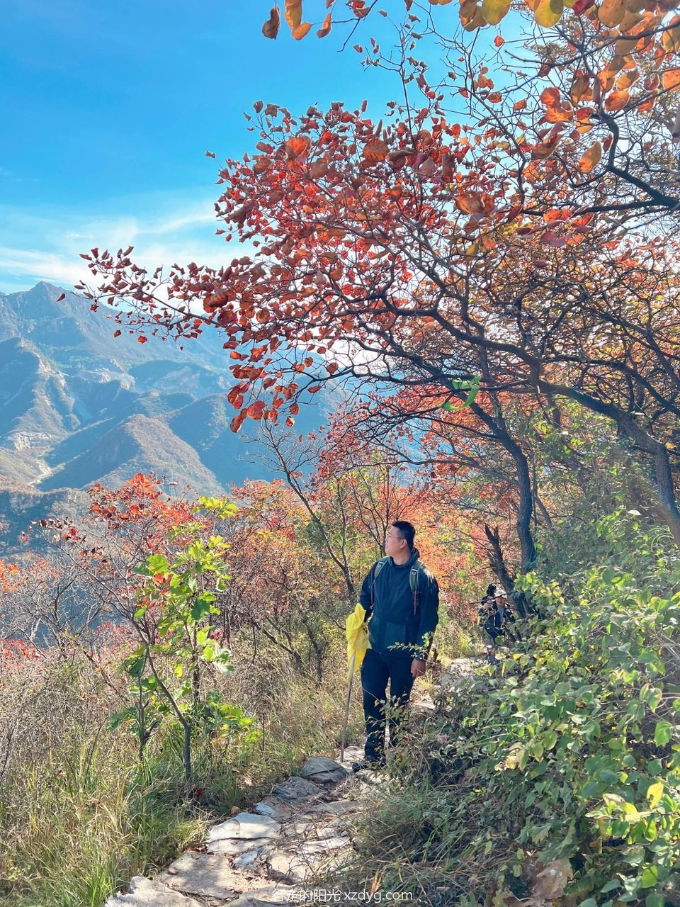 mmexport1729492437459