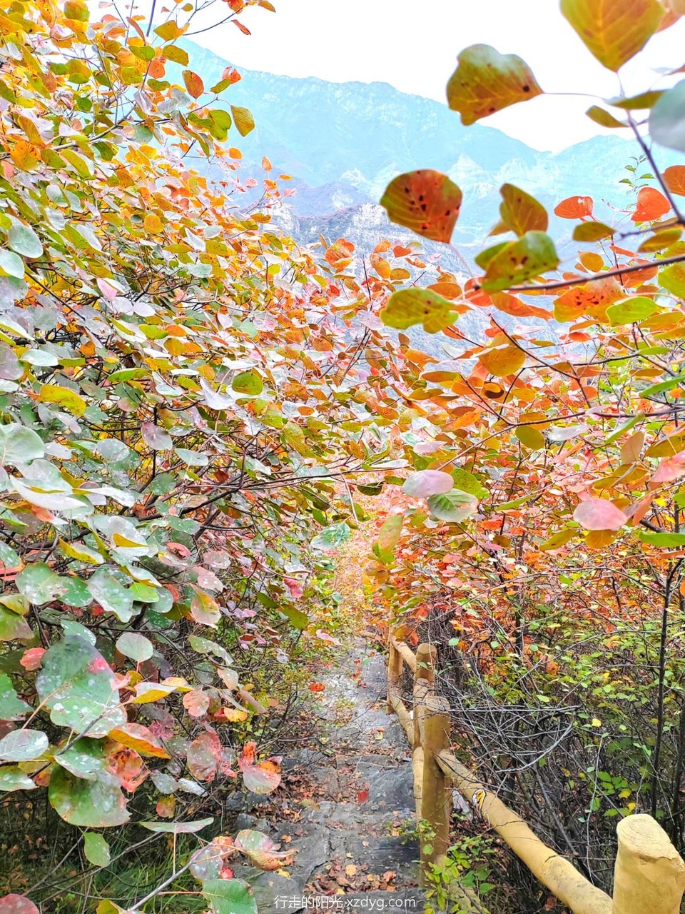 mmexport1729492465942