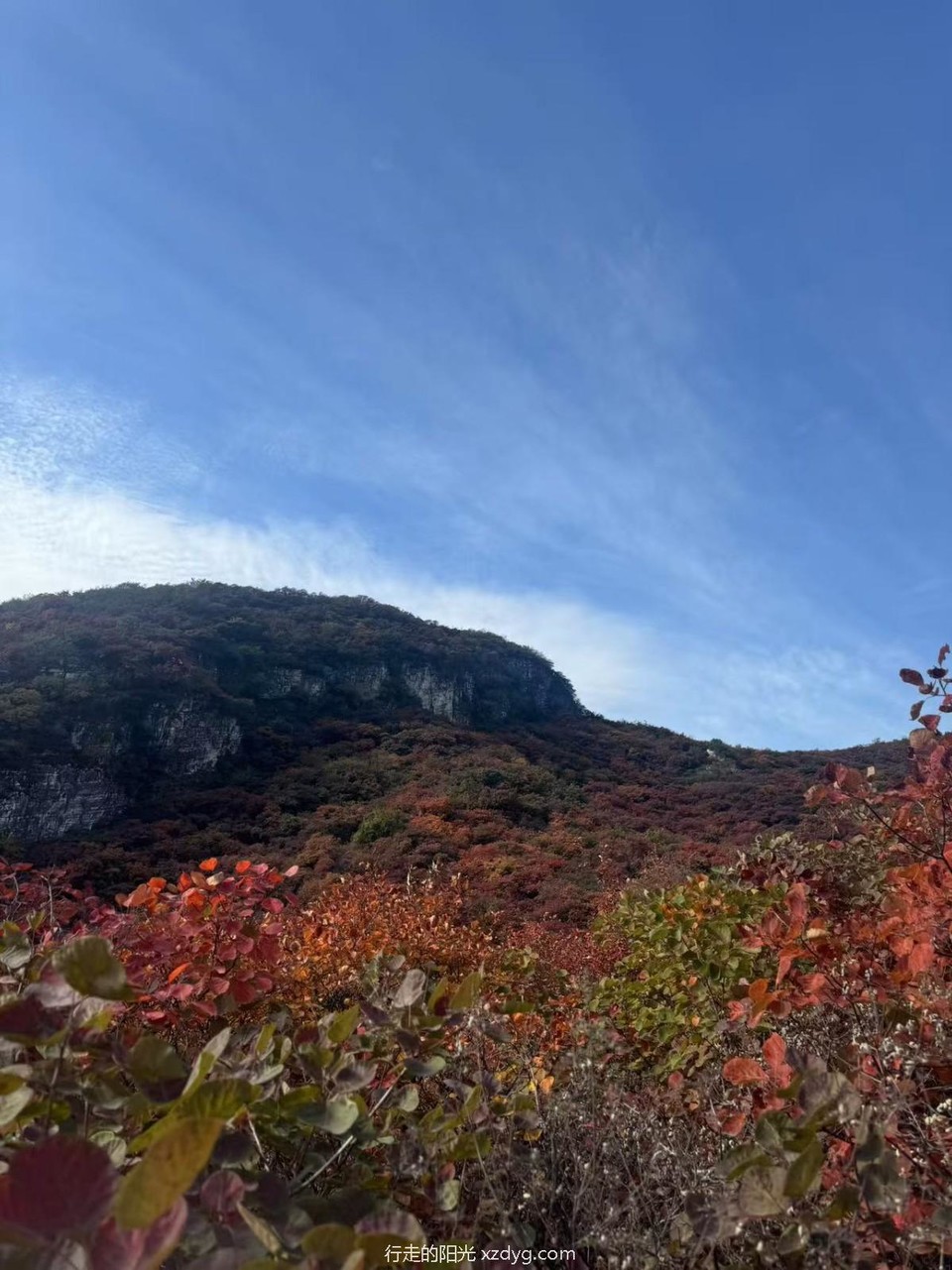 mmexport1729492326327