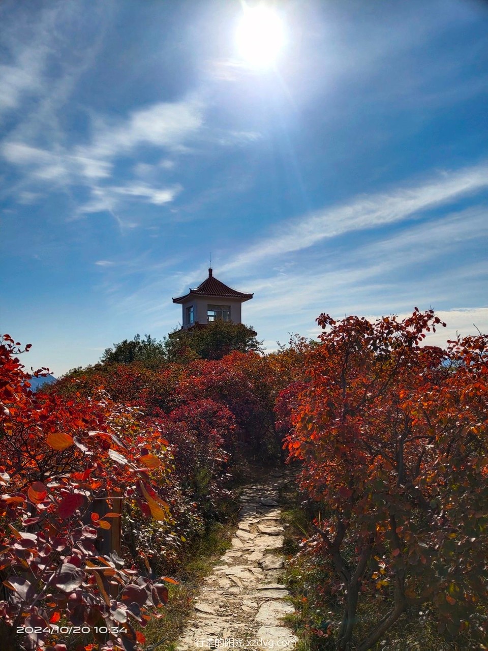 mmexport1729492374319