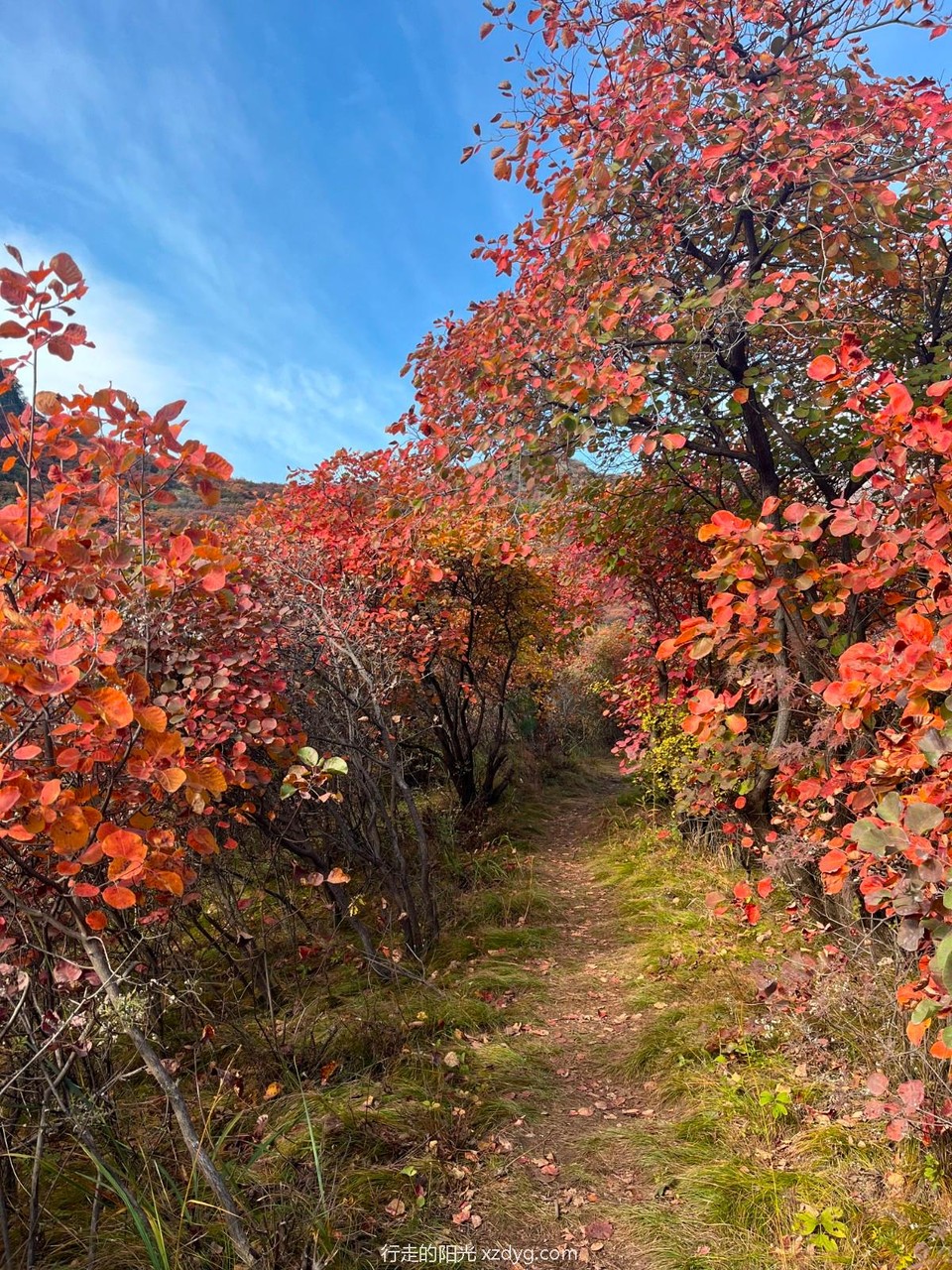 mmexport1729492360798