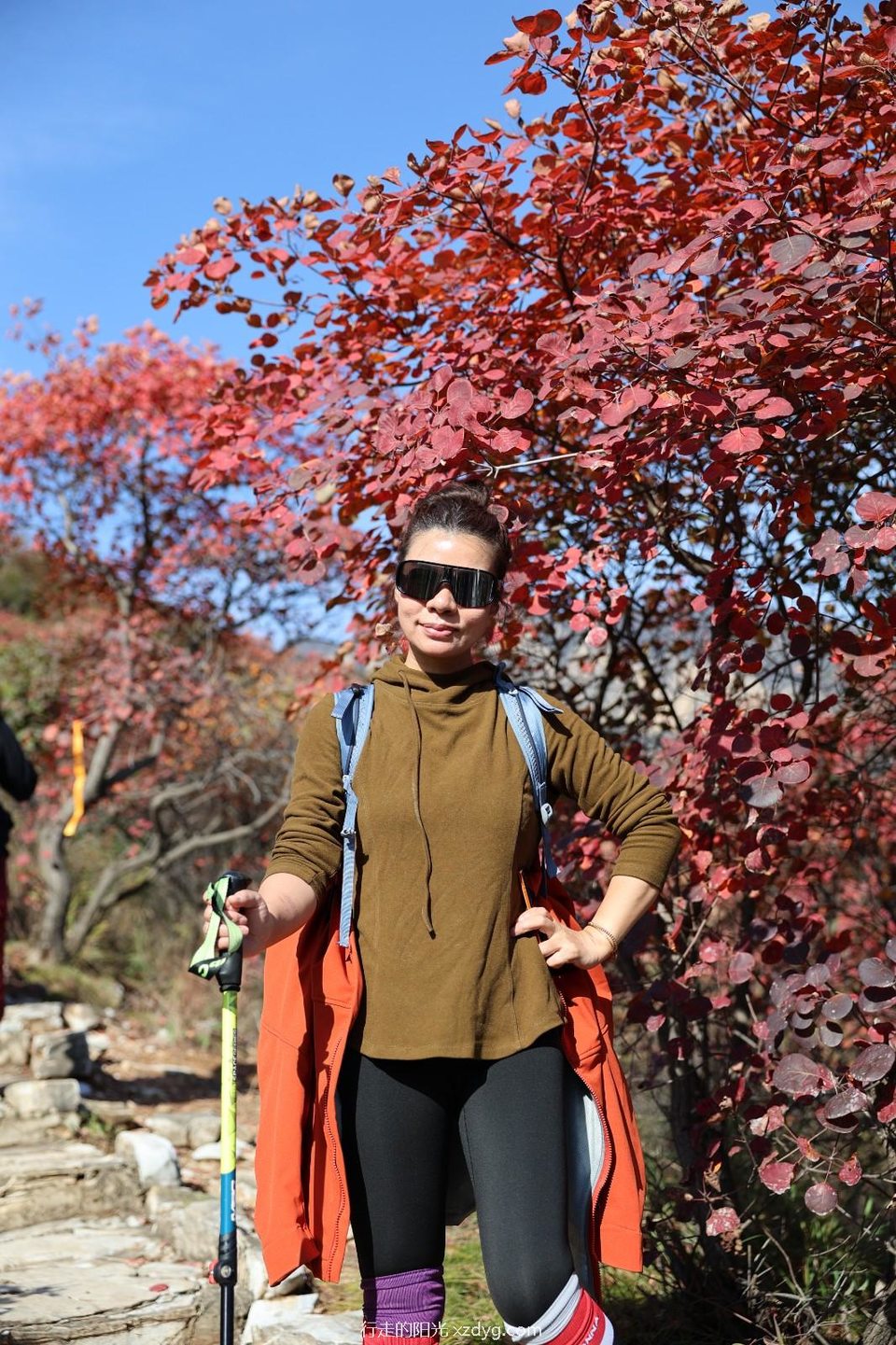 mmexport1729492194919