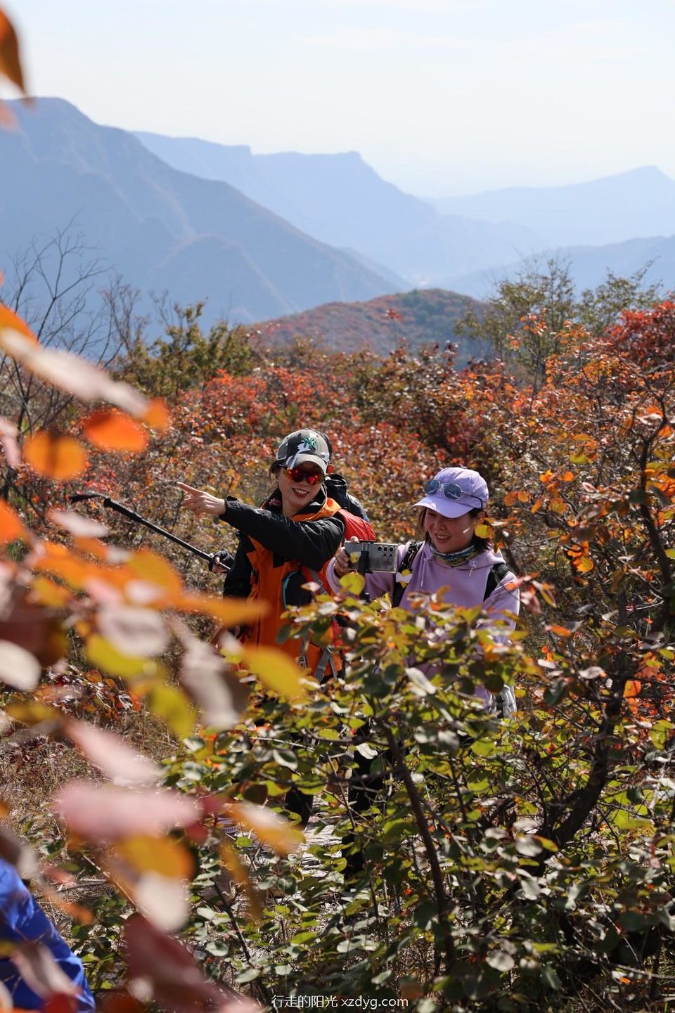 mmexport1729492010953