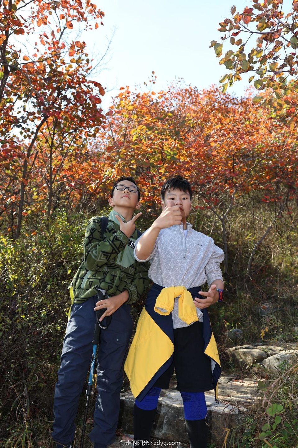 mmexport1729492149923