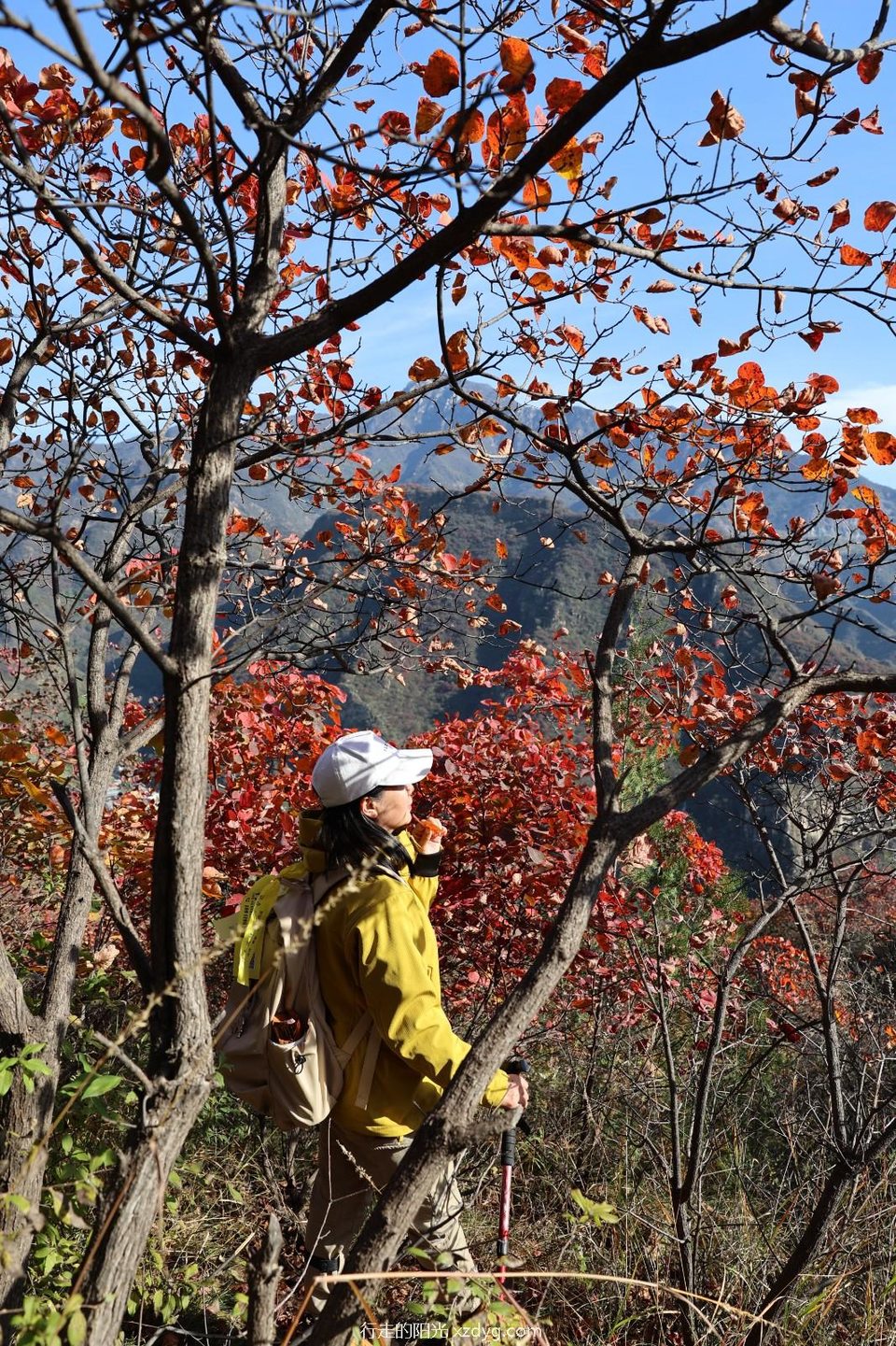 mmexport1729492176546