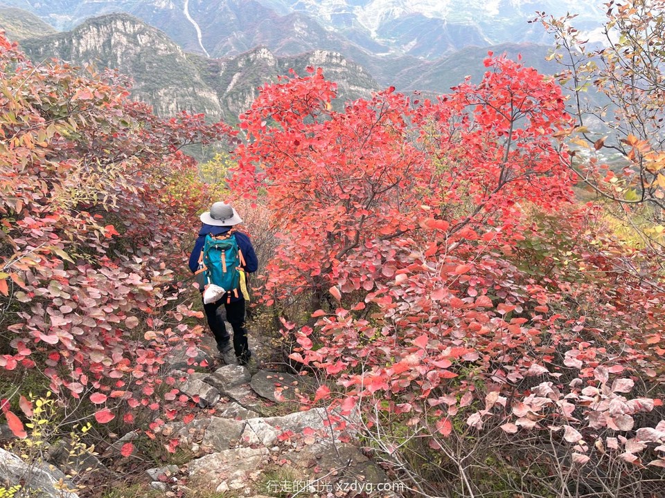 MEITU_20241021_194803366