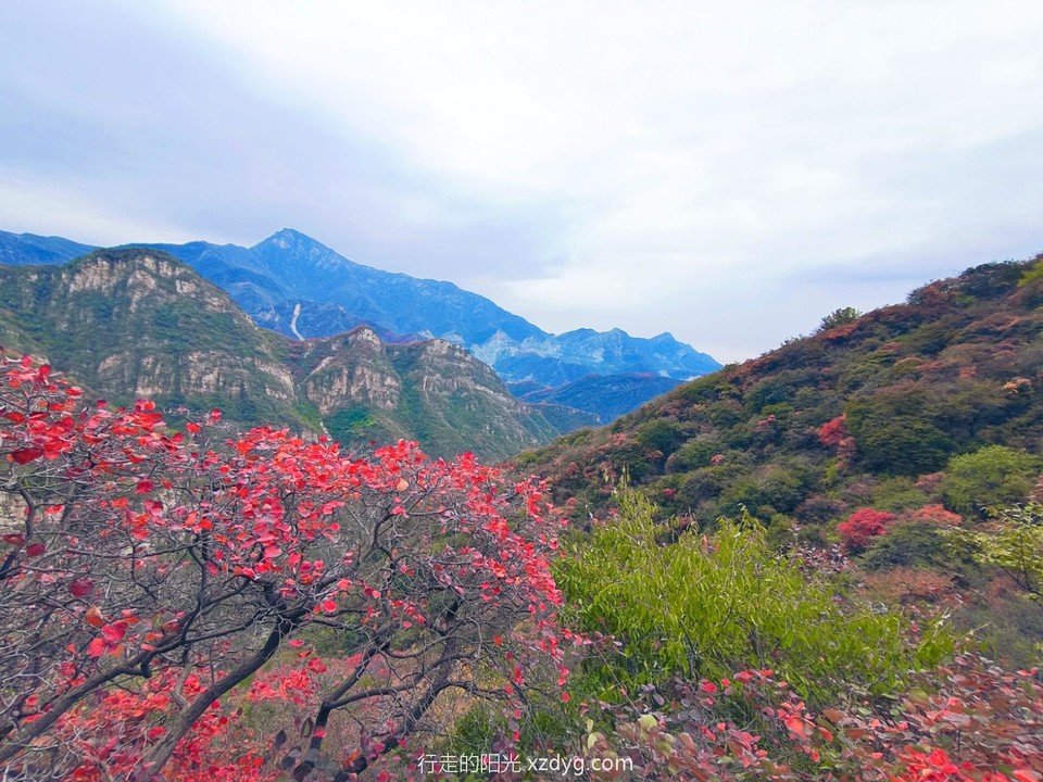 MEITU_20241021_194658744