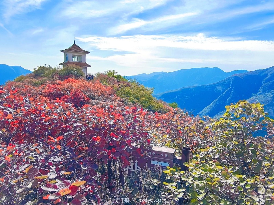 MEITU_20241021_194509515