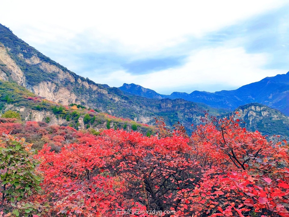 MEITU_20241021_194452875