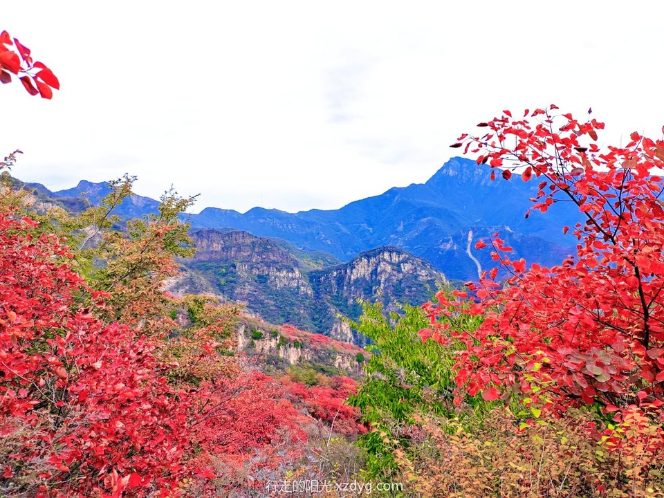 MEITU_20241021_194427480