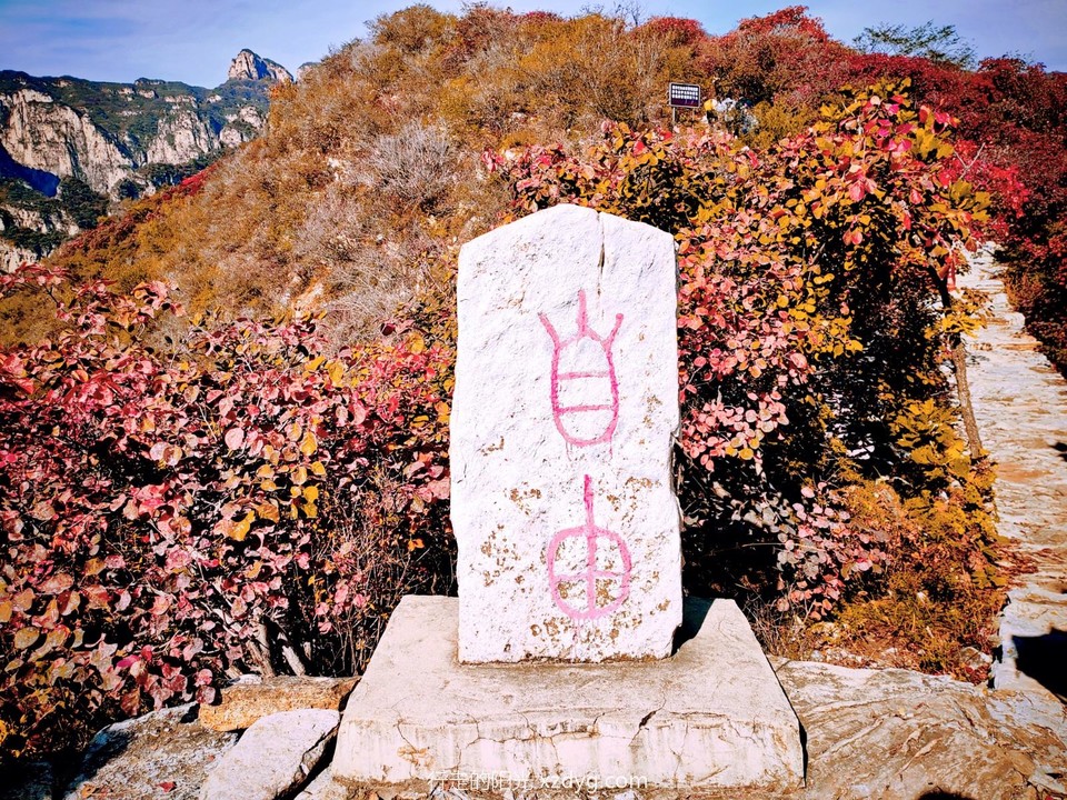 MEITU_20241021_194355509