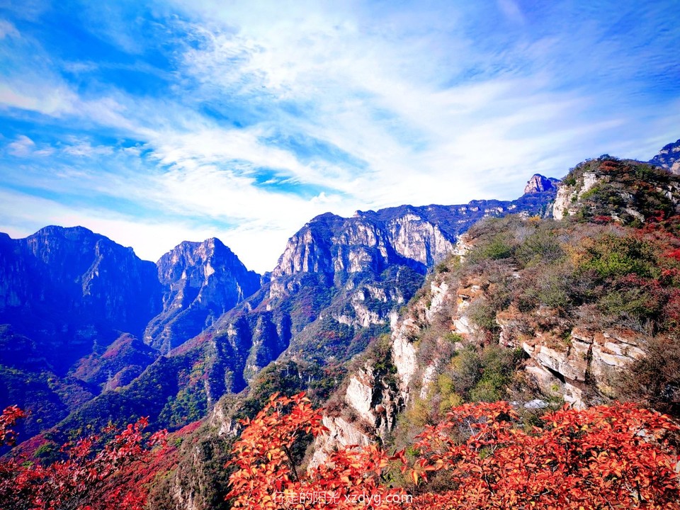 MEITU_20241021_194408887