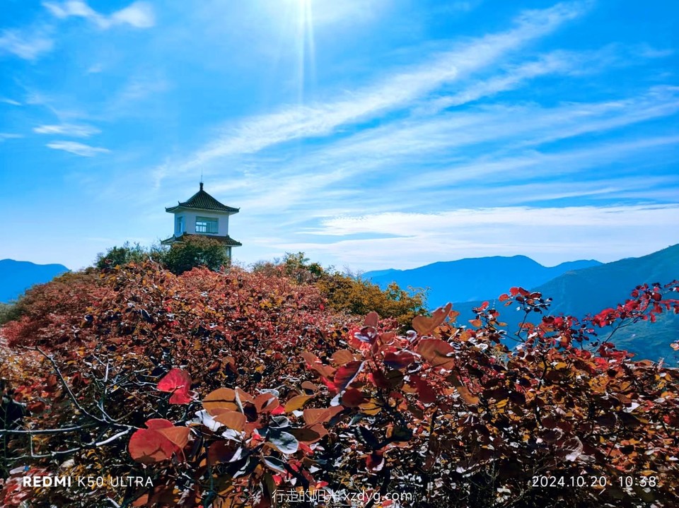 MEITU_20241021_194245286