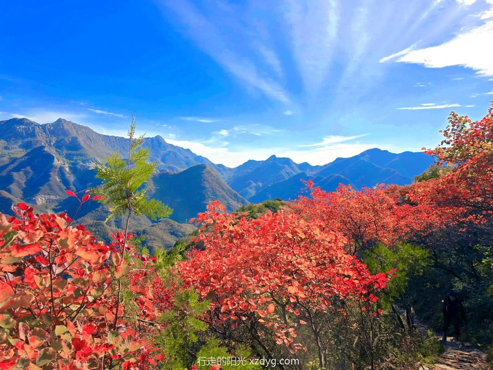 MEITU_20241021_194309248