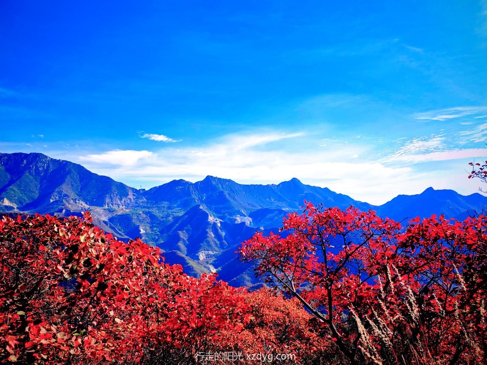 MEITU_20241021_194329878