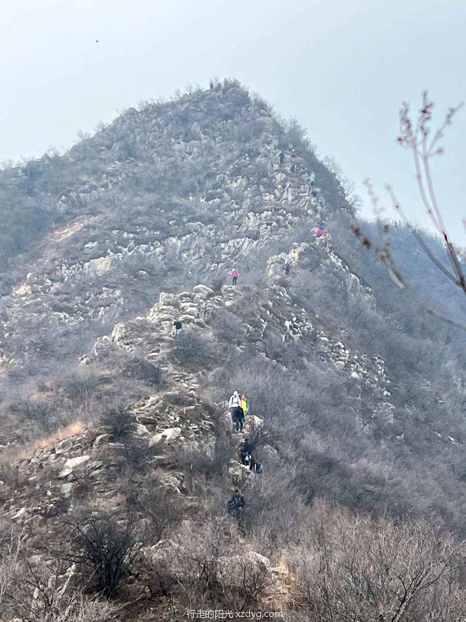 mmexport1731236398745_edit_284425910708680