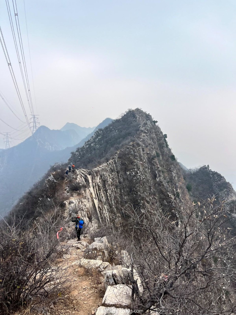 mmexport1731236409910_edit_284389167396707