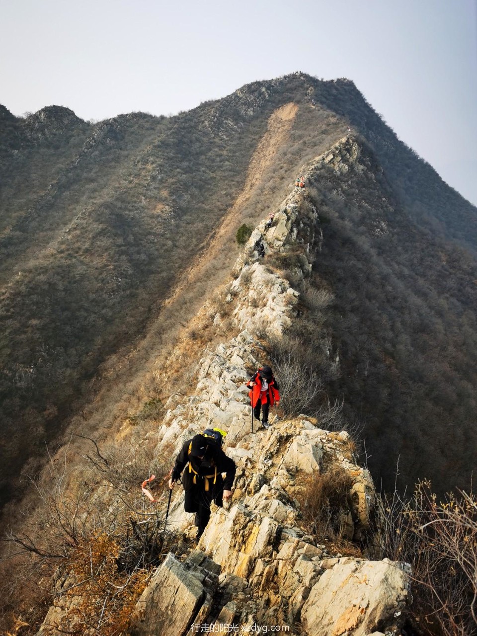 mmexport1731236270451_edit_284491162690441