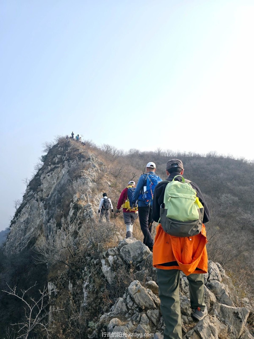 mmexport1731236118621_edit_284526353749290