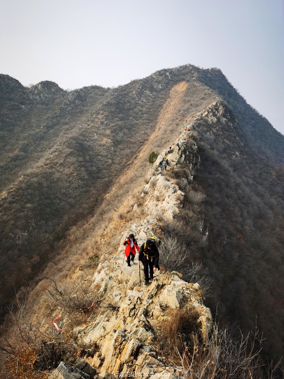 mmexport1731236246771_edit_284509915365959