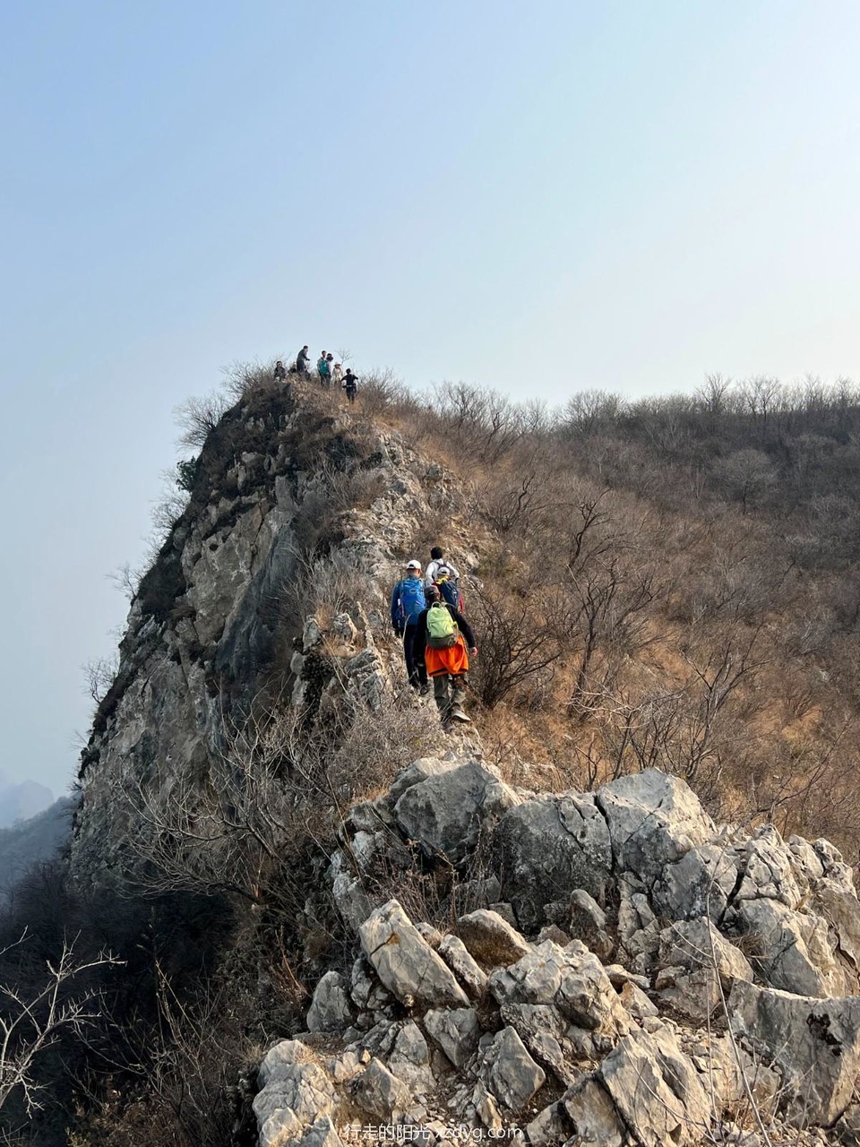 mmexport1731236076639_edit_284533665177414