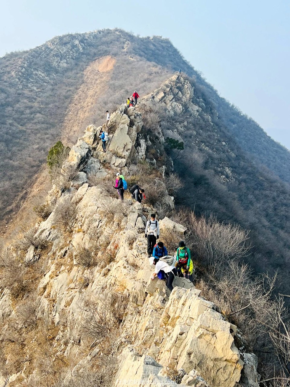 mmexport1731236063827_edit_284540068914913